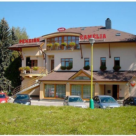 Penzion Kamelia Zilina Exterior photo